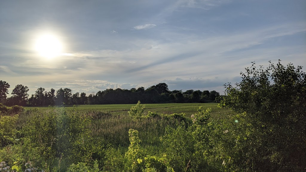 Hamilton to Brantford Rail Trail - Jerseyville Road West Trailhe | Jerseyville Rd W, Hamilton, ON L0R 1R0, Canada | Phone: (519) 621-2761