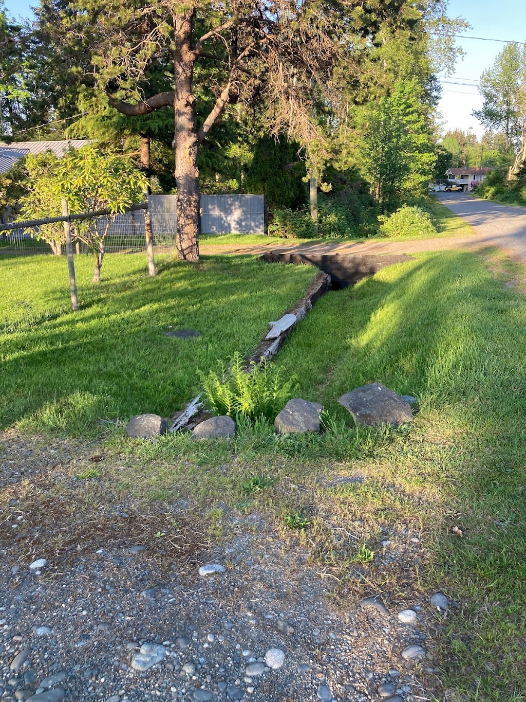 Daves Mowing | 148 Lennea Pl, Campbell River, BC V9H 1G7, Canada | Phone: (250) 898-7278