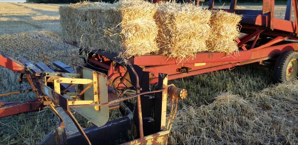 Duchesnes Corner | AB-27, Bowden, AB T0M 0K0, Canada | Phone: (403) 819-7578