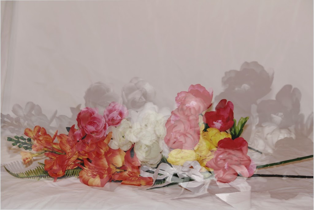 Halo-Photography - Licensed Business | Ogden Rd SE, Calgary, AB T2C 1C3, Canada | Phone: (403) 399-4805