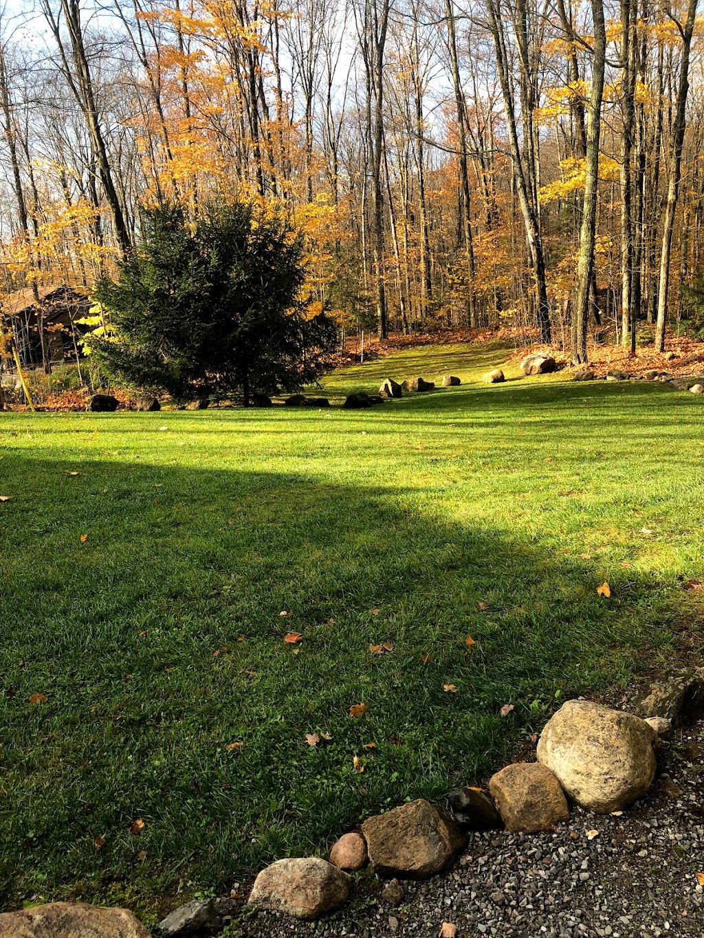 North Kawartha Lawn | 1 Burleigh St, Apsley, ON K0L 1A0, Canada | Phone: (613) 334-1079