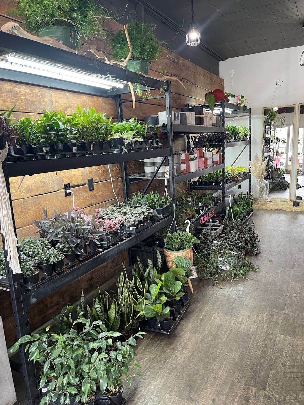Florae | 3722 57 Ave #104, Red Deer, AB T4N 4R7, Canada | Phone: (587) 557-1171