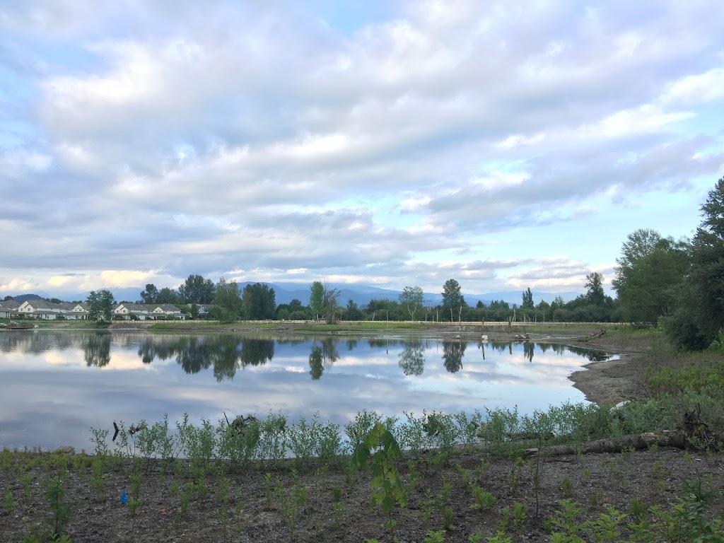 Blakeburn Ponds | 2845 Fremont St, Port Coquitlam, BC V3B 7X8, Canada