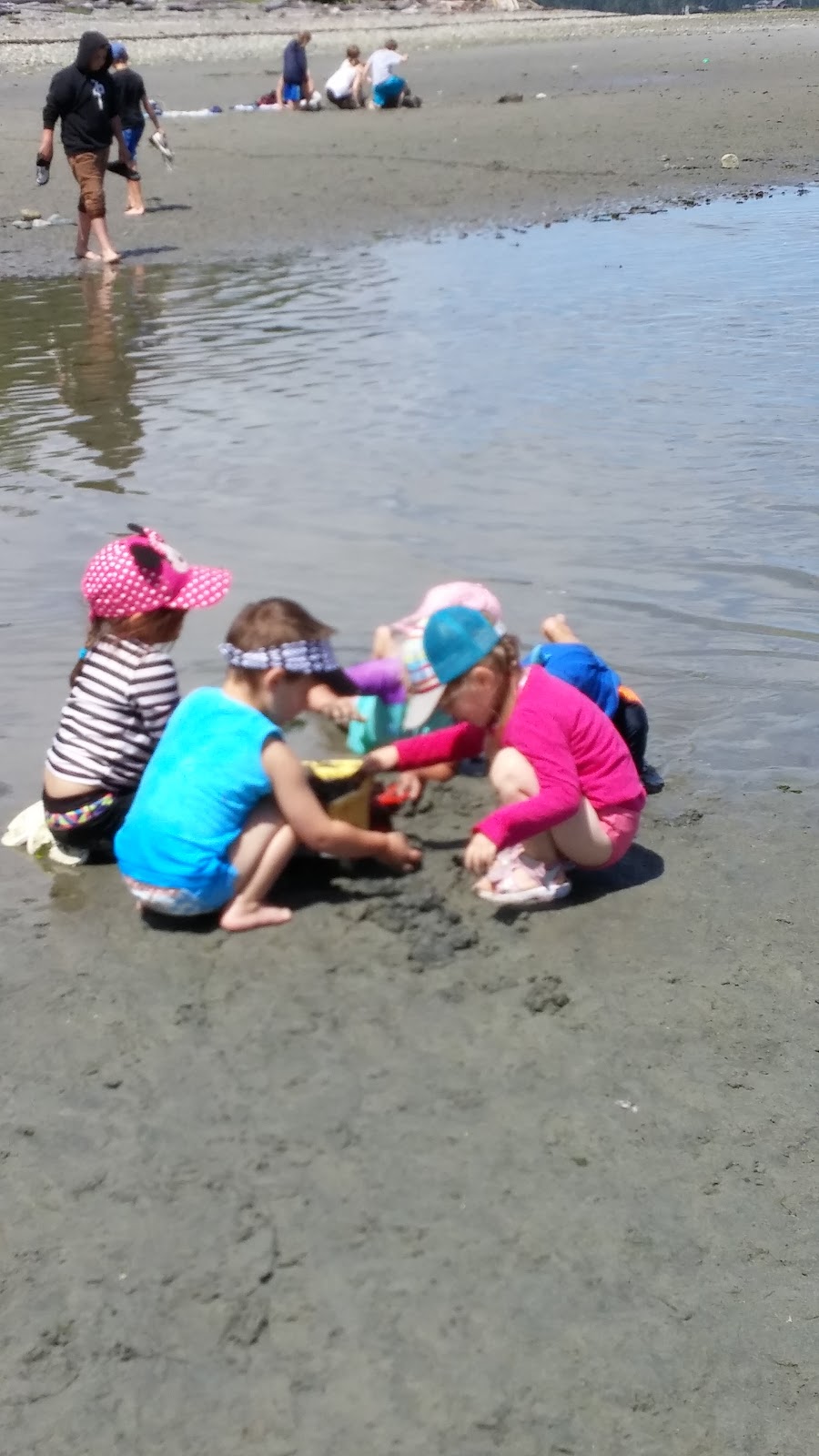 Beehive RV Park & Campground | 780 Kilmalu Rd, Mill Bay, BC V0R 2P2, Canada | Phone: (250) 743-2074