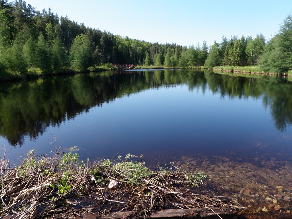 Camping Pointe Taillon Sainte-Monique | 900 Rg 6 O, Sainte-Monique, QC G0W 2T0, Canada | Phone: (418) 347-3124