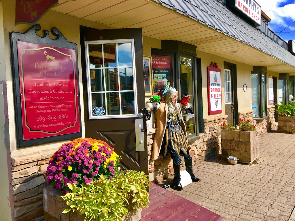 Beanermunky Chocolate - Waterdown | 17 Main St S, Waterdown, ON L0R 2H0, Canada | Phone: (289) 895-8861