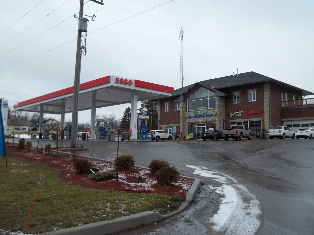 Raymar Equipment Service | 26 Napier Ct, Utopia, ON L0M 1T0, Canada | Phone: (705) 733-1459