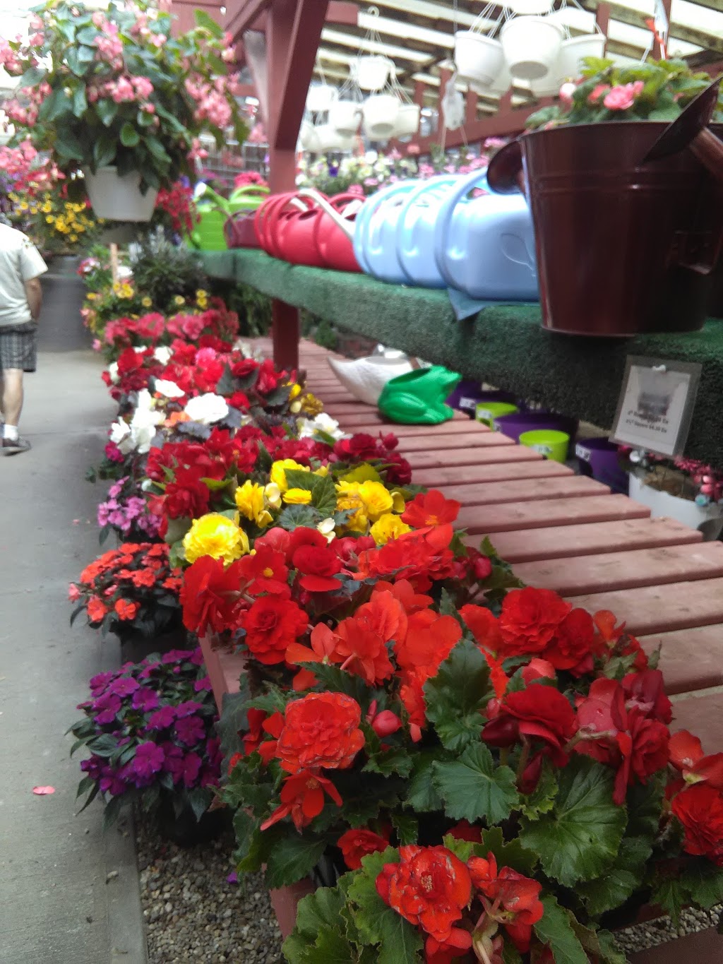 Feed N Seed Inc | 3658 Lapeer Rd, Port Huron, MI 48060, USA | Phone: (810) 982-8861