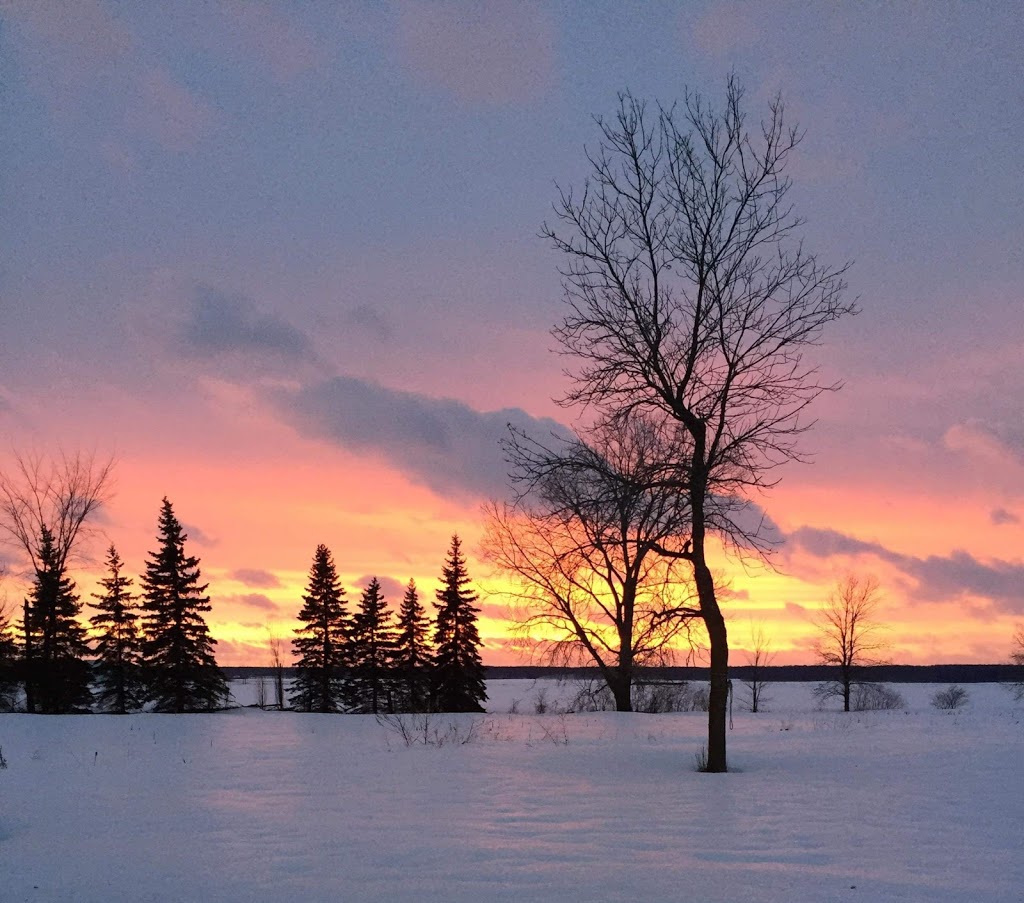 YOGA CAMELIA | 1702 Chemin du Ruisseau N, Saint-Mathieu-de-Beloeil, QC J3G 2C9, Canada | Phone: (514) 826-4859