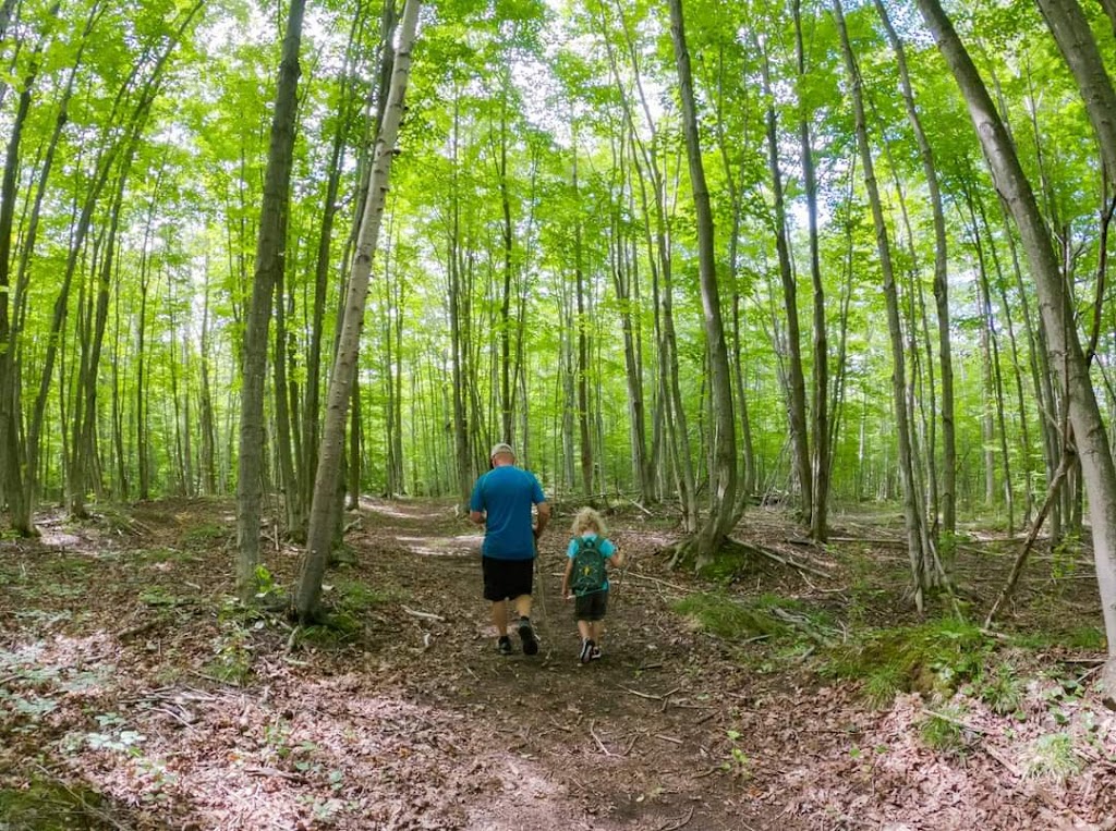 Harmony Acres Campground | 6798 Hwy 6, Tobermory, ON N0H 2R0, Canada | Phone: (226) 777-0373