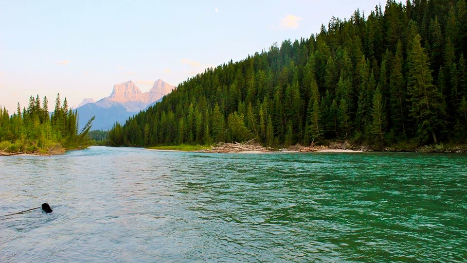 Rocky Mountain Living | 16 St, Canmore, AB T1W 0H5, Canada | Phone: (403) 675-2463