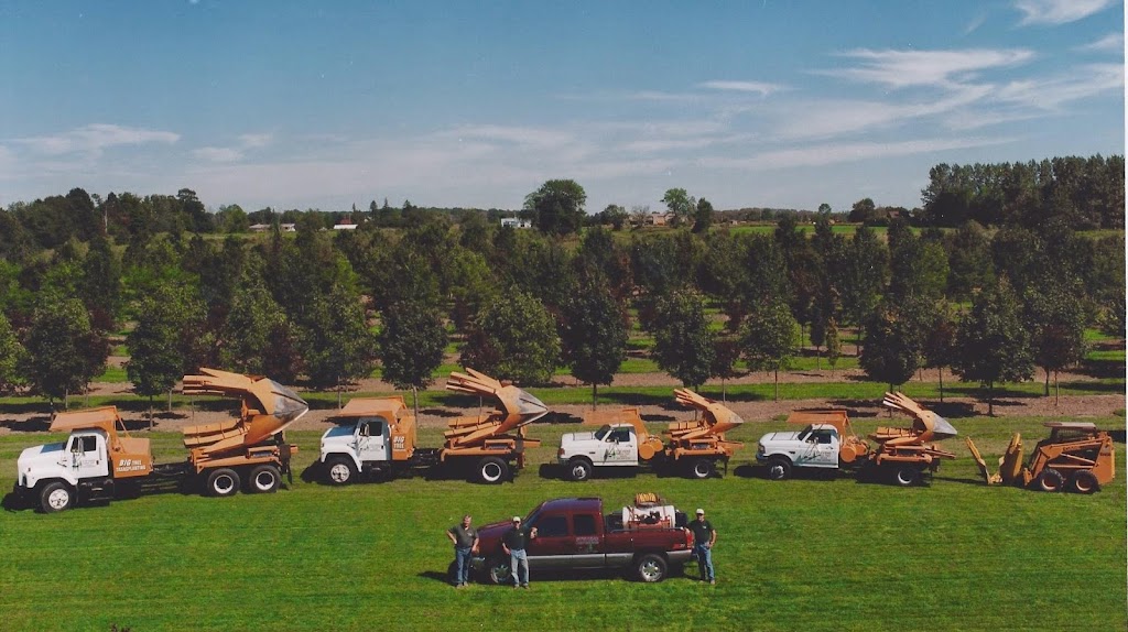 Stevens Large Tree Sales | 6556 Bethesda Rd, Whitchurch-Stouffville, ON L4A 3A7, Canada | Phone: (905) 642-2758