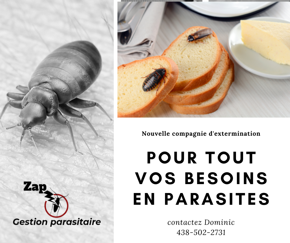 Zap Gestion Parasitaire | 351 Chemin de la Branche-du-Rapide, Marieville, QC J3M 1N9, Canada | Phone: (438) 502-2731