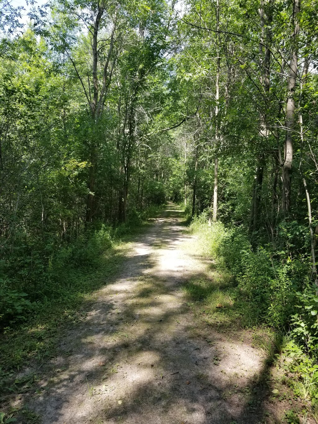Tiny Marsh Provincial Wildlife Area | 500 Tiny Flos Townline, Elmvale, ON L0L 1P0, Canada | Phone: (705) 322-2200