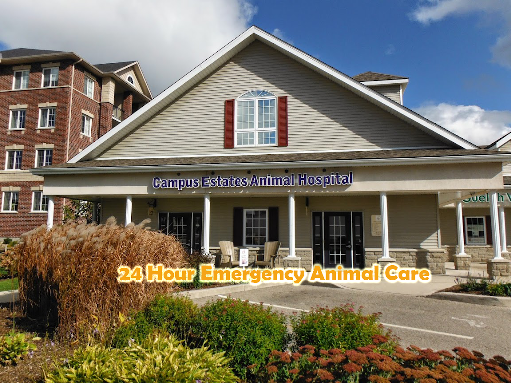 Campus Estates Animal Hospital | 1460 Gordon St, Guelph, ON N1L 1C8, Canada | Phone: (519) 837-1212