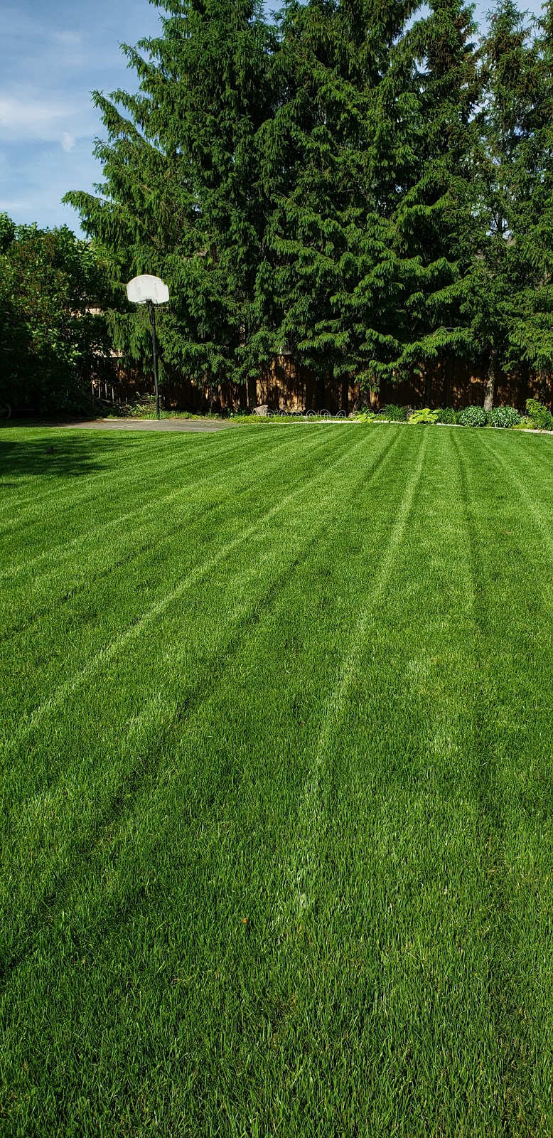 Doans Landscaping & Snow Removal Services | 14361 Medway Rd, Arva, ON N0M 1C0, Canada | Phone: (226) 224-8131