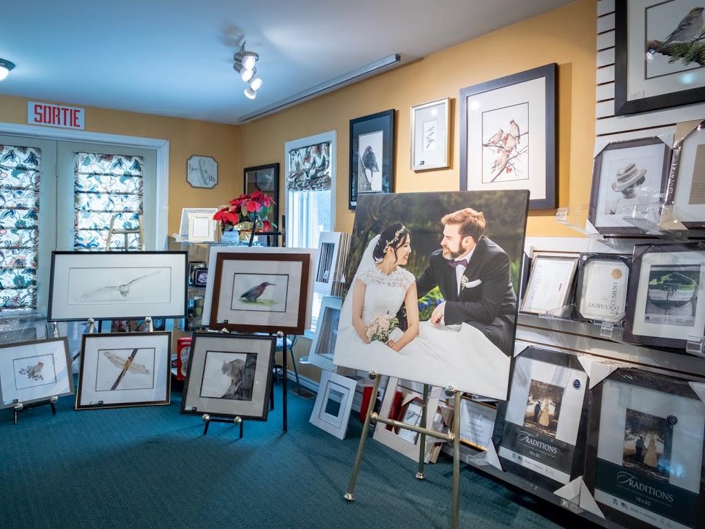 Mays Studio | 459 Rue Main, Hudson, QC J0P 1H0, Canada | Phone: (450) 458-4621