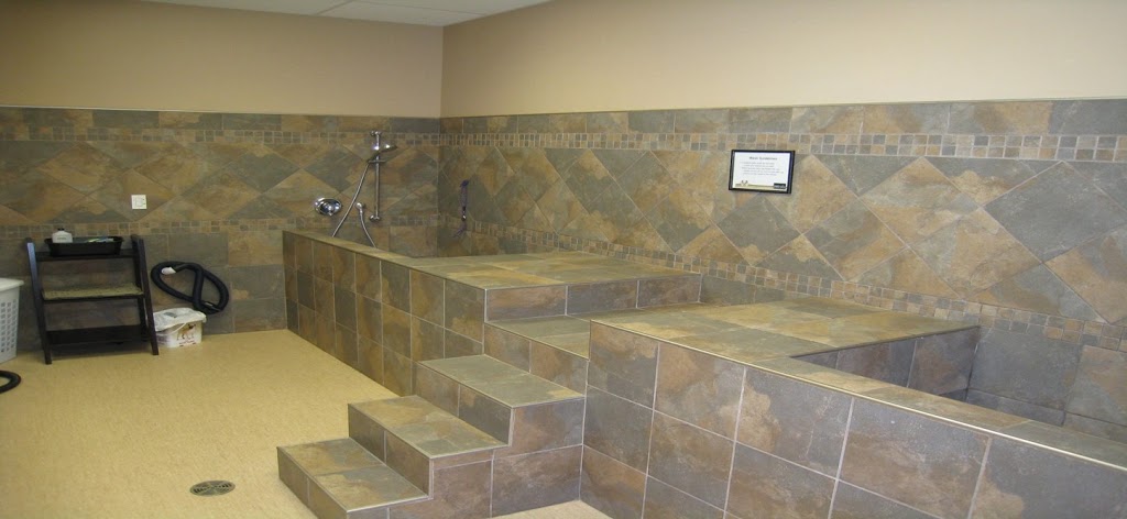 Pet Valu | 473 Norwich Ave, Woodstock, ON N4S 9A2, Canada | Phone: (519) 602-6030