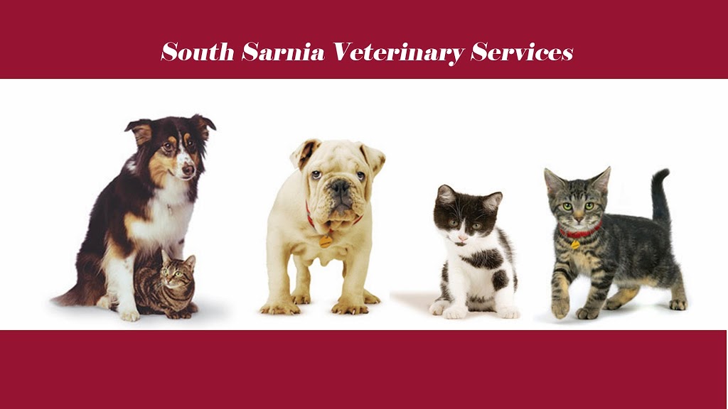 South Sarnia Veterinary Services | 1141 Confederation St, Sarnia, ON N7S 3Y5, Canada | Phone: (519) 344-4444