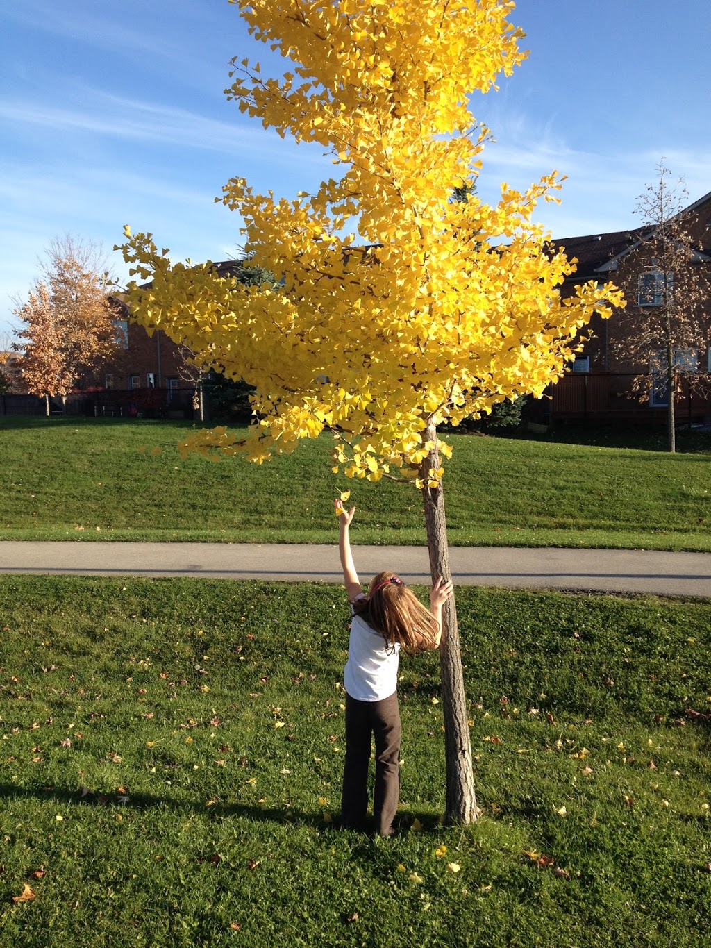 Dr. James Langstaff Community Park | Bayview Glen, Richmond Hill, ON L4B 4L3, Canada