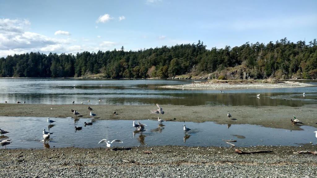 Esquimalt Lagoon Migratory Bird Sanctuary | Colwood, BC, Canada | Phone: (800) 668-6767
