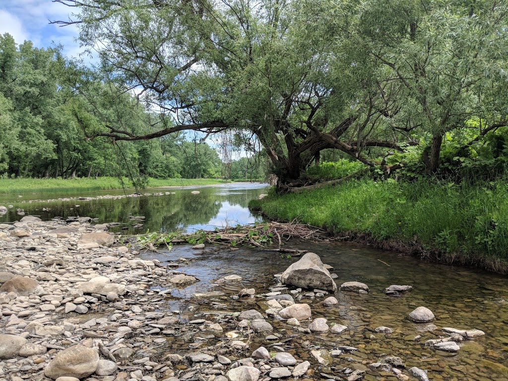 Cazenovia Creek Wildlife Management Area | West Seneca, NY 14224, USA