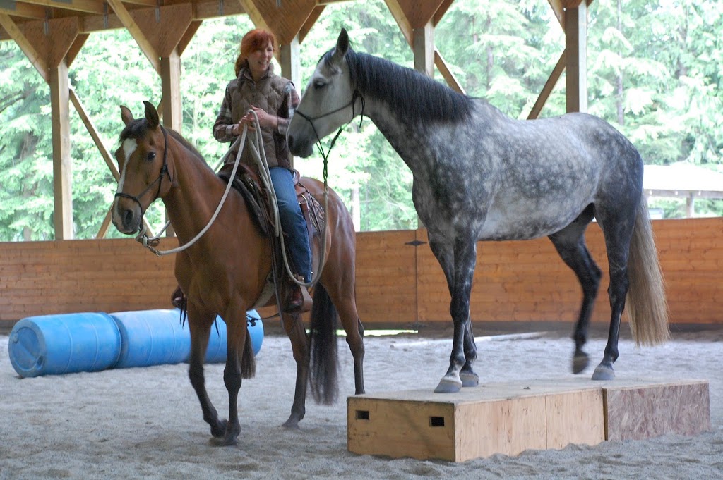 Sandy Lang Horsemanship | 4700 Charlie Spruce Pl, Abbotsford, BC V3G 2K9, Canada | Phone: (604) 850-1243