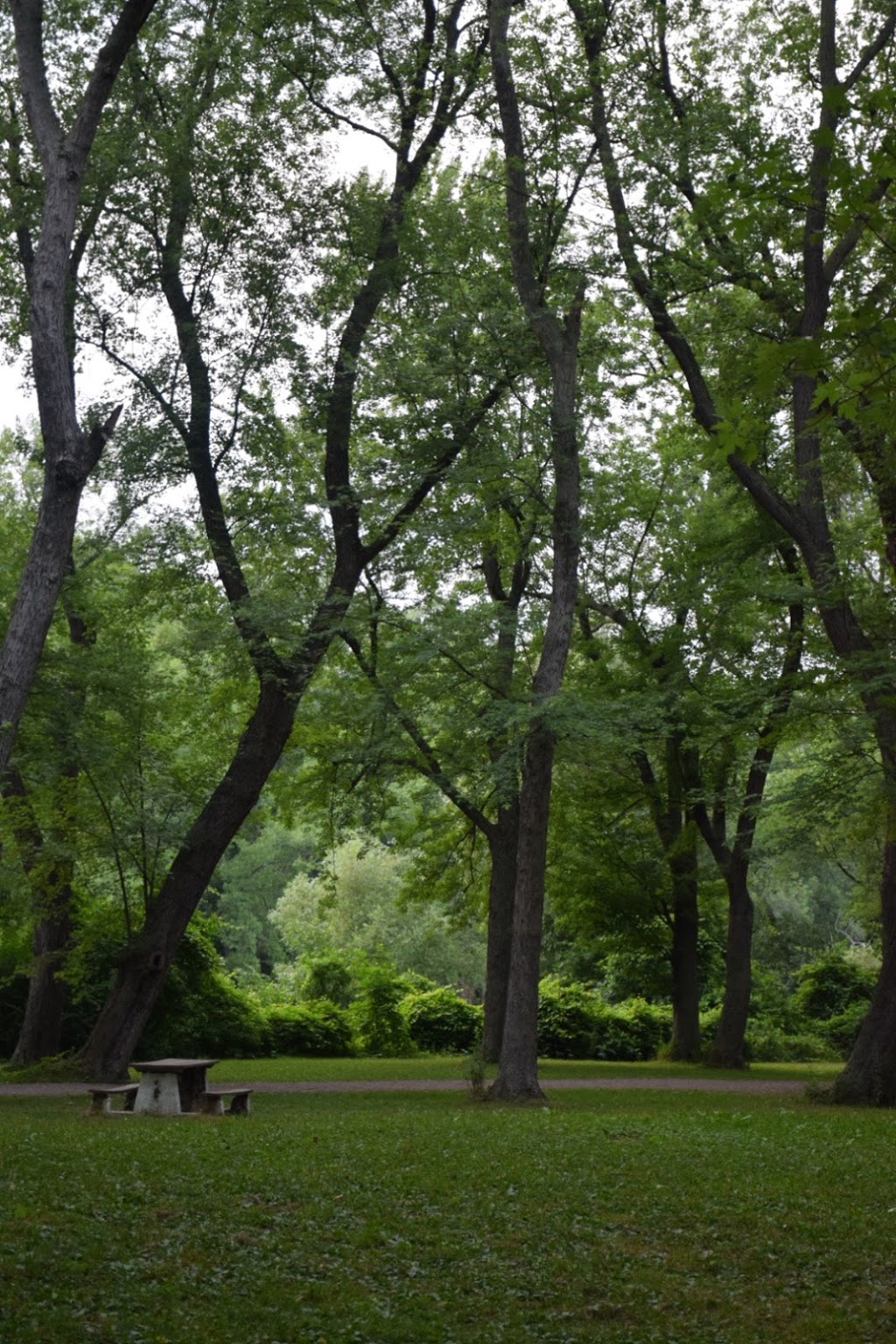 Dog Walking Island | 52 14150, 60 Creekside Dr, Tonawanda, NY 14150, USA