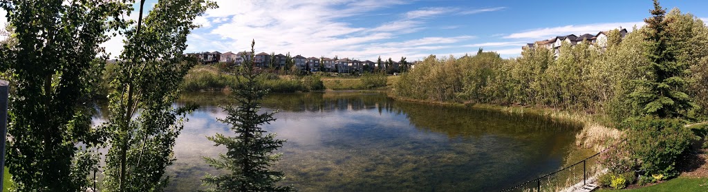 Royal Oak School | 9100 Royal Birch Blvd NW, Calgary, AB T3G 5R8, Canada | Phone: (403) 777-6279