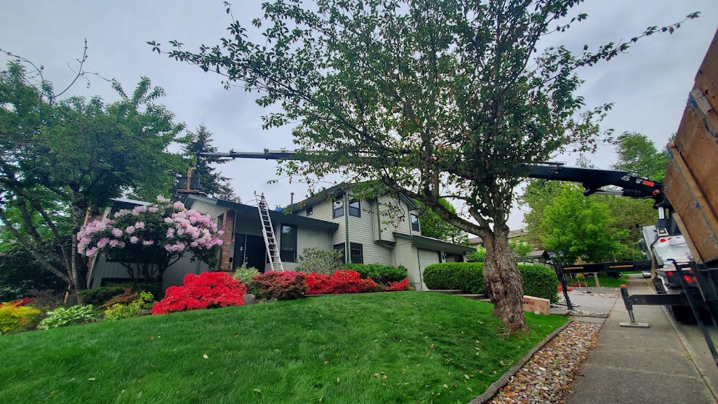 Landmark Roofing Ltd | 9415 214 St, Langley Twp, BC V1M, Canada | Phone: (604) 888-9451