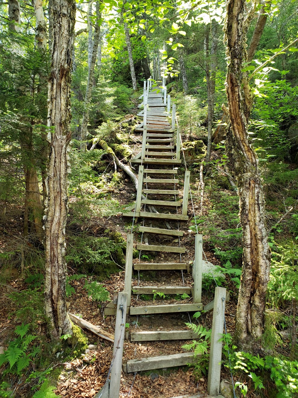 Big Salmon River Suspension Bridge | Big Salmon River Rd, St. Martins, NB E5R, Canada | Phone: (506) 833-2019