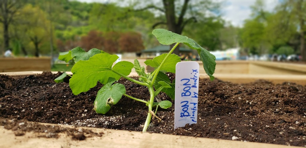 The Childrens Garden Project | 1000 Main St E, Hamilton, ON L8M 1N6, Canada | Phone: (289) 925-8612