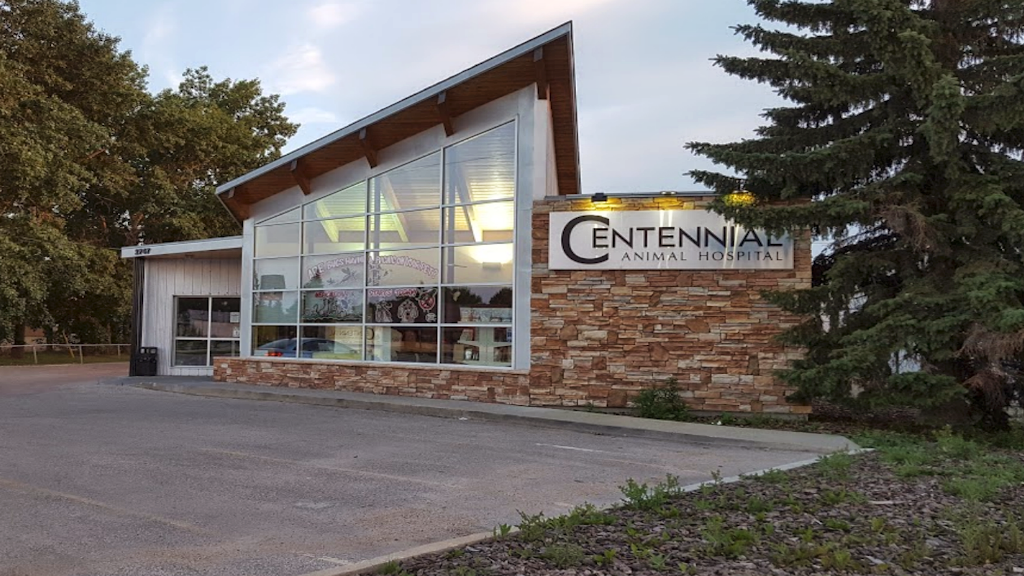 Centennial Animal Hospital | 2747 Pembina Hwy, Winnipeg, MB R3T 2H5, Canada | Phone: (204) 269-8162