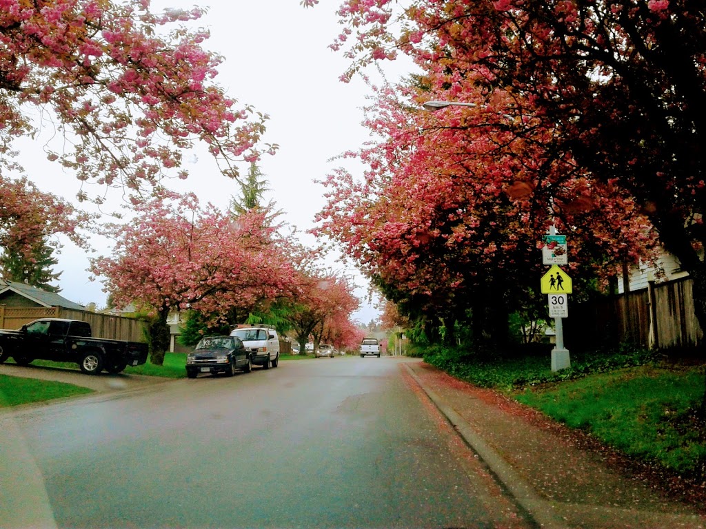 Johnston Heights Park | 9698 151 St, Surrey, BC V3R 8W7, Canada