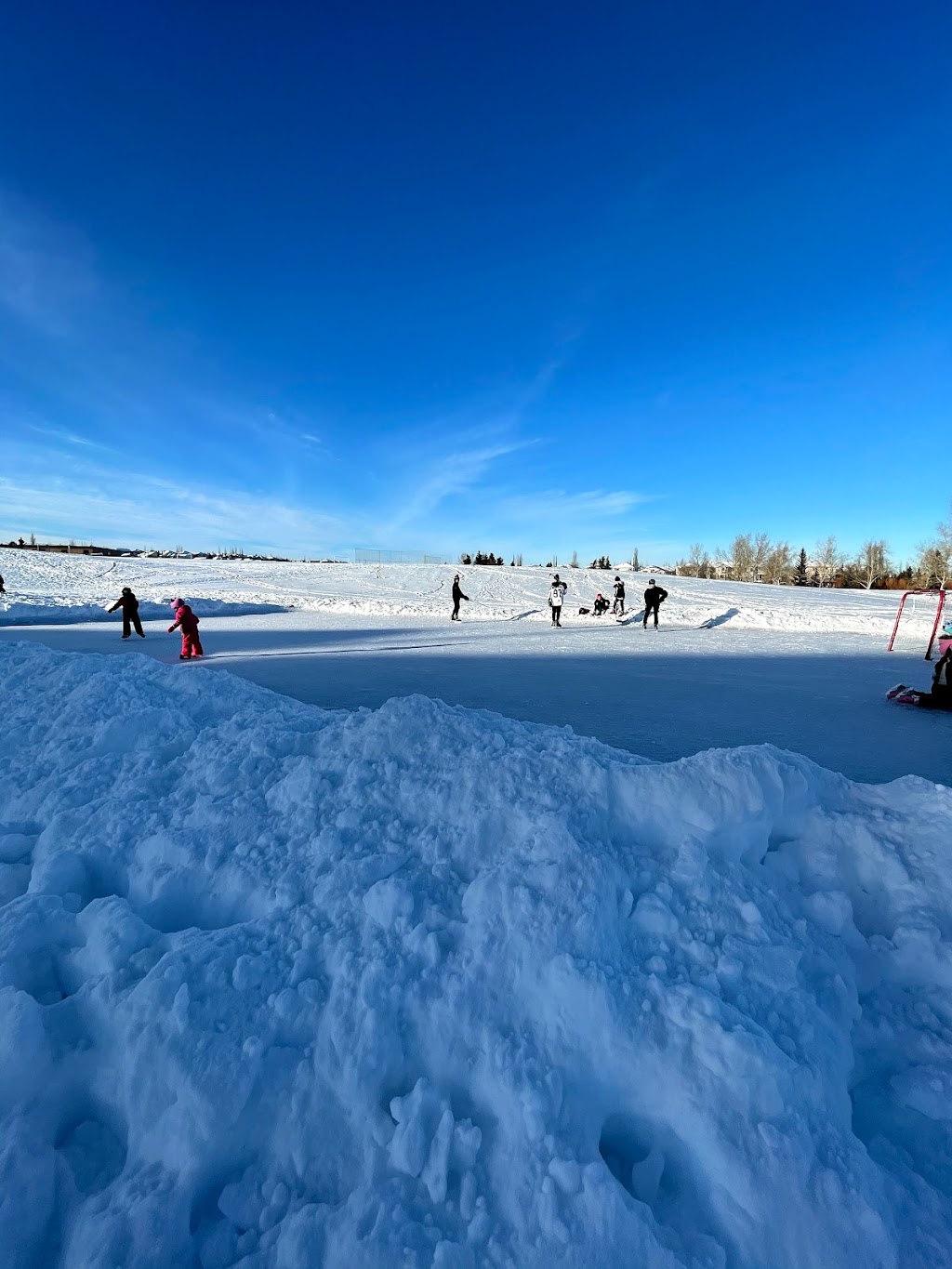 NHCA Harvest Ice Rink | 520 Harvest Lake Dr NE, Calgary, AB T3K 4C3, Canada | Phone: (403) 226-6422