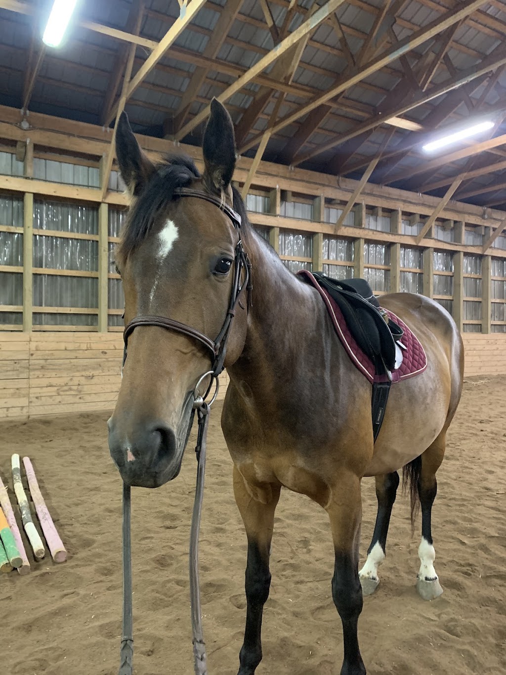 Rainbows End Equestrian Centre & ET Stitchery | 7153 NS-207, West Chezzetcook, NS B0J 1N0, Canada | Phone: (902) 802-8674