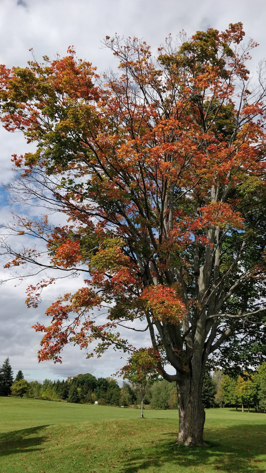 Alex Robertson Park | 700 Sandy Beach Rd, Pickering, ON L1W, Canada | Phone: (905) 683-7575