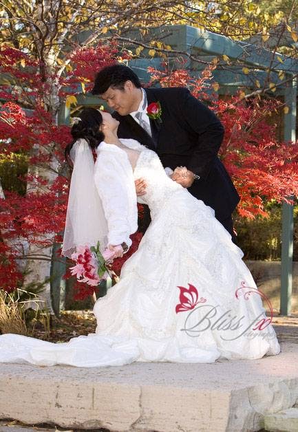 BlissFX Photography | 19 I Moores Beach Rd, Pembroke, ON K8A 6W2, Canada | Phone: (613) 585-3296