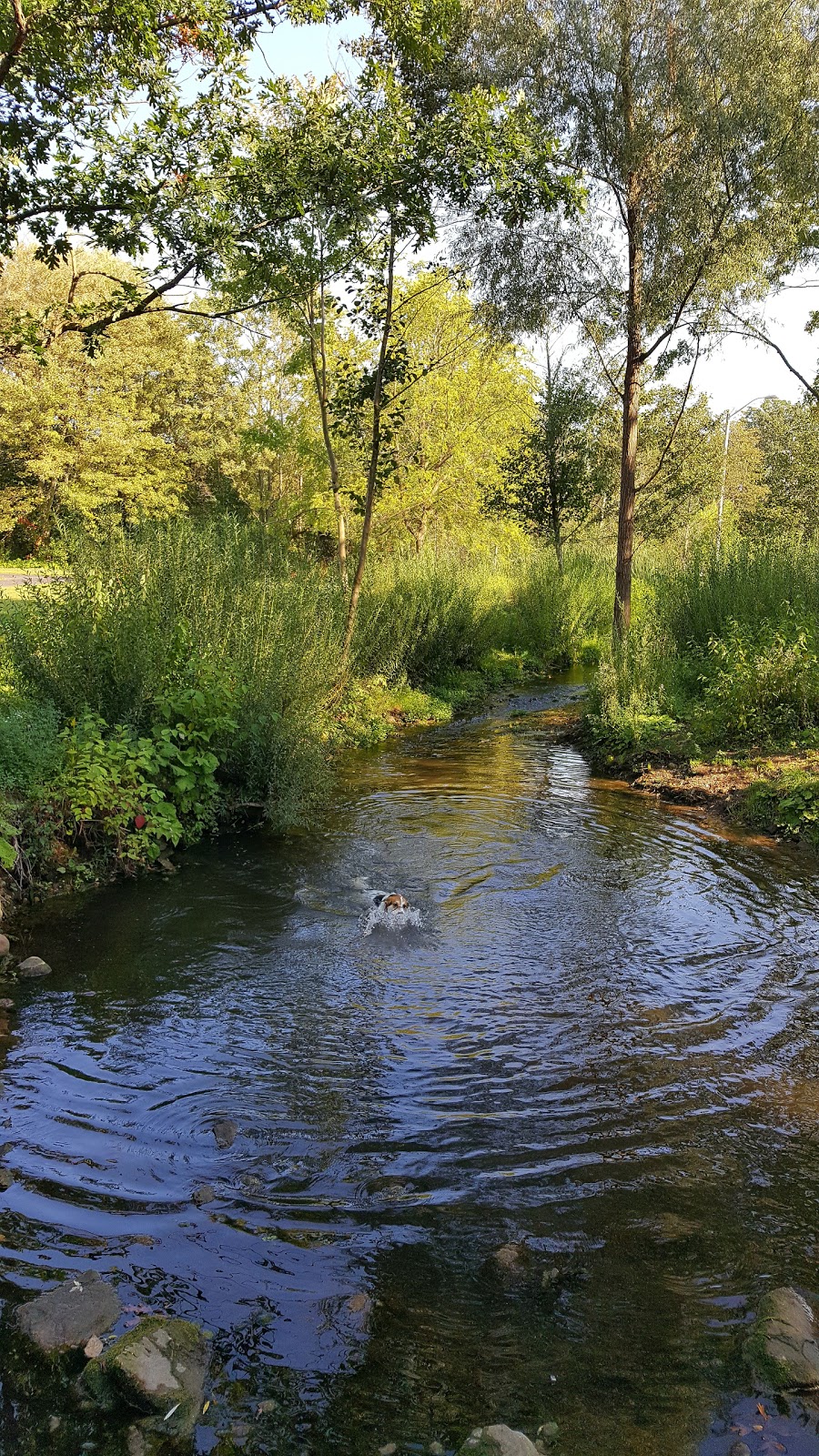 Churchill Park | 200 Christopher Dr, Cambridge, ON N1R 8K7, Canada | Phone: (519) 740-4681
