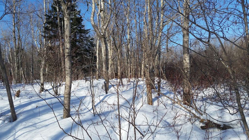 Club de Ski Fond des Grandes Prairies | 1940 4e Rue, Lévis, QC G6W 5M6, Canada | Phone: (418) 839-1919