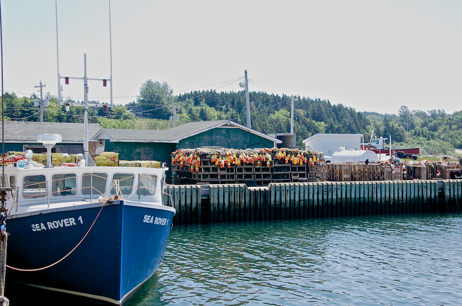 Murphys Pond Harbour | 121 Murphys Pond Rd, Port Hood, NS B0E 2W0, Canada | Phone: (902) 787-2058