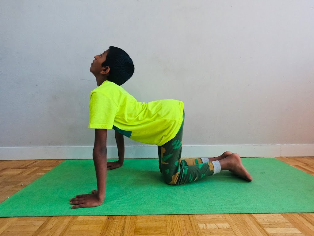 Sai Patanjali International Yoga Academy | 2 Silver Maple Ct #2001, Brampton, ON L6T 4R1, Canada | Phone: (860) 965-1766