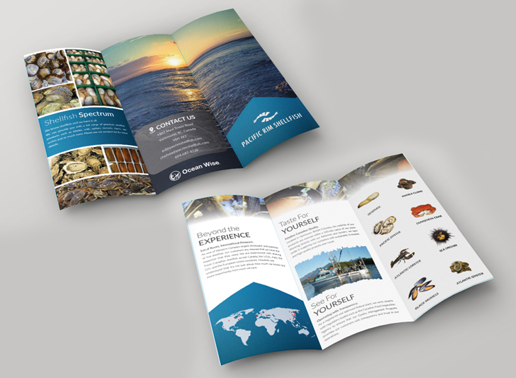 BragDeal Web Design Vancouver - Web Development Agency | 688 Abbott St #3103, Vancouver, BC V6B 0B9, Canada | Phone: (844) 604-2724