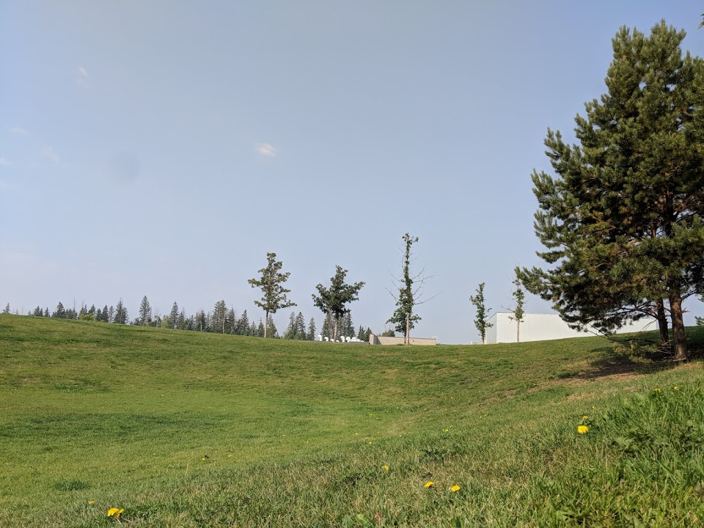 Blackmud Creek Park | Blackmud Creek, Edmonton, AB T6W 1J8, Canada