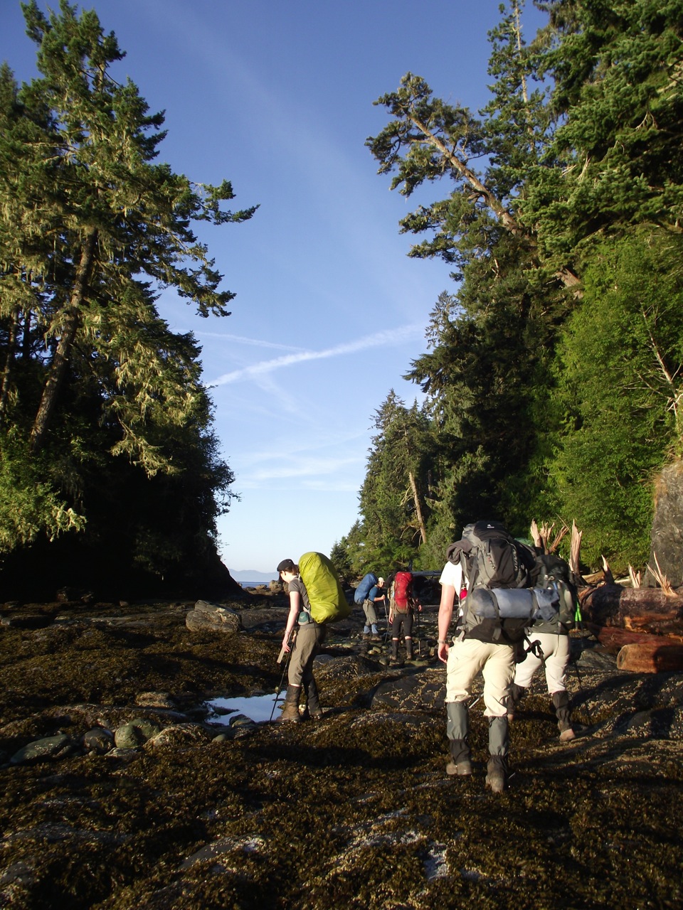 Coastal Bliss Adventures Ltd. | 4865 Bench Rd, Cowichan Bay, BC V0R 1N1, Canada | Phone: (800) 896-9525