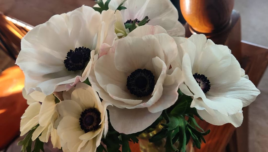 Waymar Flowers Ltd | 4181 Twenty-First St, Vineland Station, ON L0R 2E0, Canada | Phone: (905) 228-0906