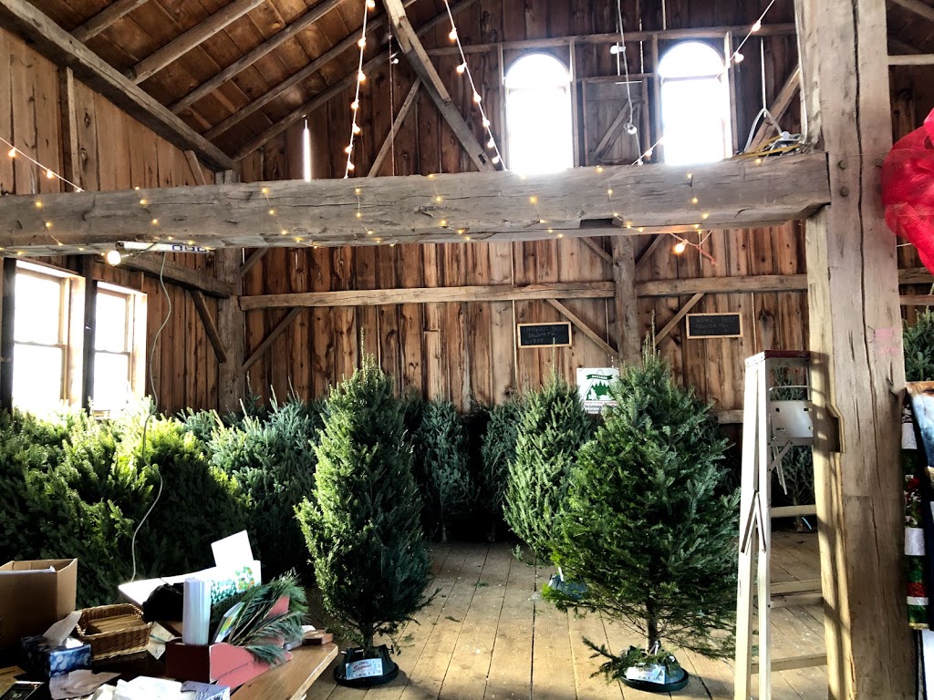 Elliott Tree Farm | 9467 Erin East Garafraxa Townline, Hillsburgh, ON N0B 1Z0, Canada | Phone: (519) 216-0699