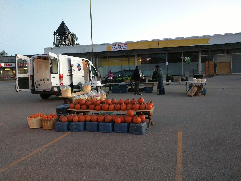 Thistletown Plaza | 988 Albion Rd, Etobicoke, ON M9V 1A7, Canada