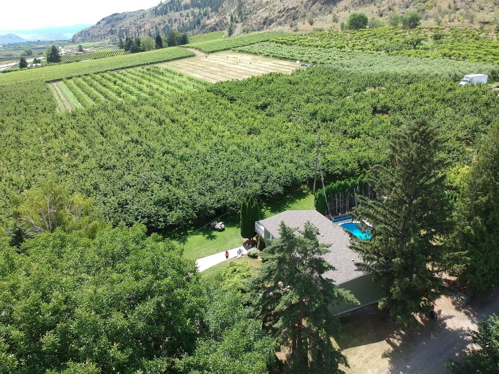 Stevens Farms | 3828 Okanagan Hwy, Osoyoos, BC V0H 1V5, Canada | Phone: (250) 689-1137