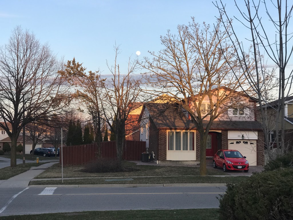 Port Royal Park | 50 Port Royal Trail, Scarborough, ON M1V 2G8, Canada | Phone: (416) 338-5058